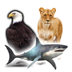 اصوات الطيور والحيوانات APK