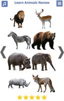 Animals Name Animal Sounds Ani poster
