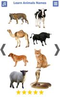 Learn Animals Name Animal Soun imagem de tela 2