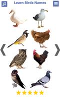 Birds name in English پوسٹر