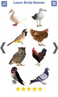 Birds name in English โปสเตอร์