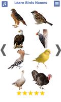 Birds name in English اسکرین شاٹ 2