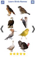 برنامه‌نما Birds name in English عکس از صفحه