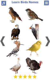 Birds name in English screenshot 2
