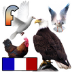 les noms des oiseaux avec phot icon