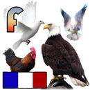 les noms des oiseaux avec phot APK