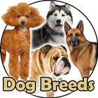 Dog Breeds icono