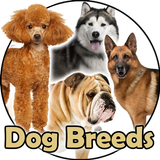 انواع الكلاب | سلالات الكلاب أيقونة