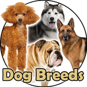 Dog Breeds icon