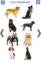 Poster Dog Breeds