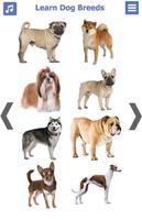 2 Schermata Dog Breeds