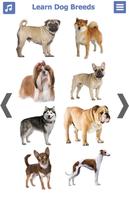 برنامه‌نما Dog Breeds عکس از صفحه