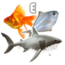 Fish Types | Goldfish Saltwate APK