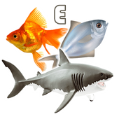 Fish Types icon