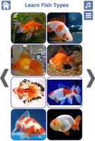 Fish Types Screenshot 3