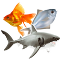 أنواع الأسماك و صور أسماك-APK