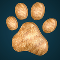 Cat Games
