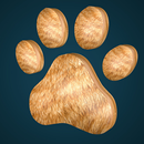 игра кошка APK