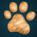 Cat Games APK