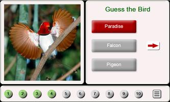 Guess the Bird: Tile Puzzle poster