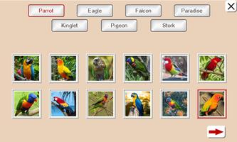 Guess the Bird: Tile Puzzle screenshot 1