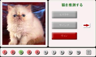 タイルパズル：猫を推測 ポスター