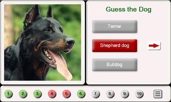 Guess the Dog: Tile Puzzles पोस्टर