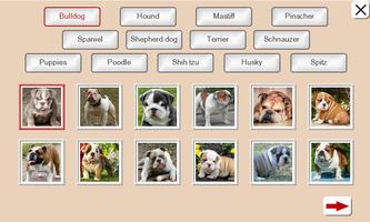 Guess the Dog: Tile Puzzles screenshot 1