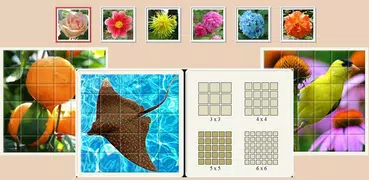 Tile Puzzle: Different Topics