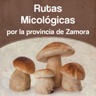 Rutas micológicas en Zamora icono