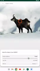 SWAROVSKI OPTIK Hunting XAPK 下載