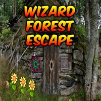 Wizard Forest Escape Affiche