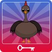”Escape Turkey Cage