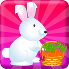 Pet Care Cute Bunny Animal icon