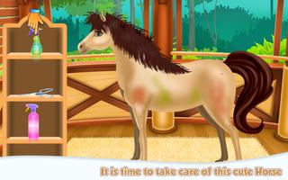 Horse Spa Caring poster