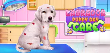 Labrador Puppy Day Care