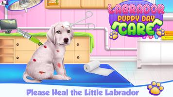 Labrador Puppy Day Care syot layar 3