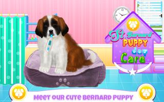 St Bernard Puppy Day Care poster