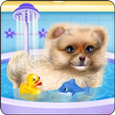 Pomeranian Puppy Day Care APK