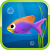 Best Hungry Fish APK