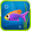 Best Hungry Fish