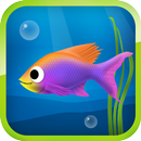 Meilleur Hungry Fish APK