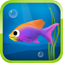 APK Best Fish Hungry