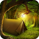 Can You Escape Tropical Forest-APK