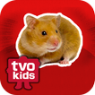 TVOKids Tumbleweed's Yard Sale