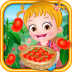 Baby Hazel Tomato Farming