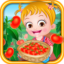 Baby Hazel Tomato Farming APK