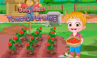 Baby Hazel Tomato Farming پوسٹر