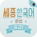 세종한국어 문법 중급1 aplikacja