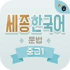 آیکون‌ Sejong Korean Grammar -  Intermediate1